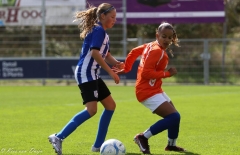 naamloos-161-van-1