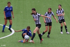 IMG_3236