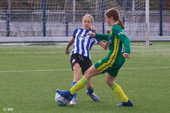 IMG_3650