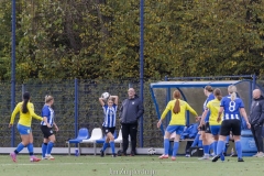 Quick Boys MO20-1 - DION MO20-1 (01 November 2025)