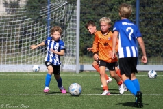 naamloos-133-van-1