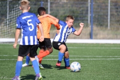 naamloos-43-van-1