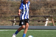 Quick Boys O14-1 - Alexanderia O14-1 (22 augustus 2026)