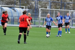 MAR_4185