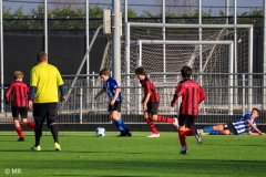 Teylingen JO14-1 - Quick Boys JO14-5 (8 november 2025)