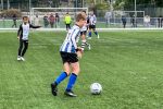 Afbeelding van WhatsApp op 2025-05-24 om 13.52.56_54e07a04